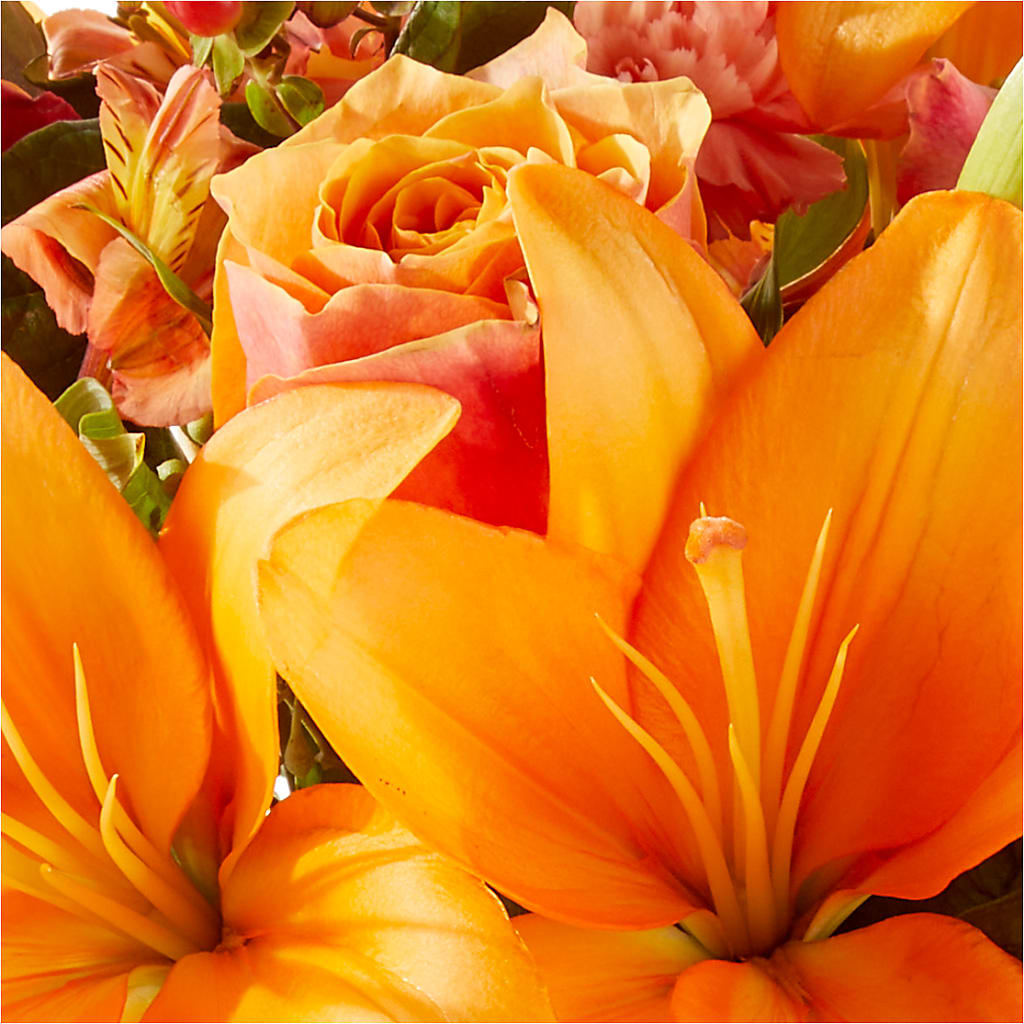 Afternoon Light Bouquet –  Acme, Malvern PA