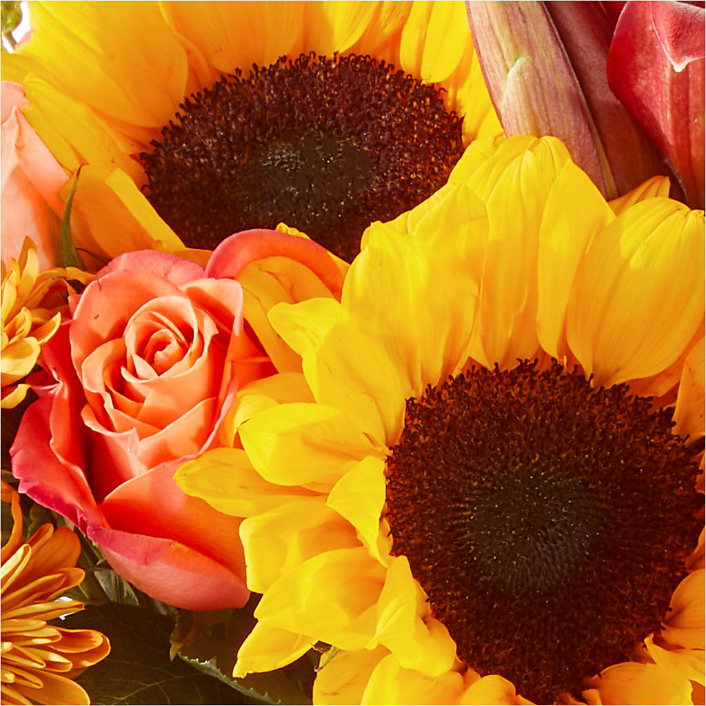 Acorn Lane Bouquet –  Acme, Malvern PA