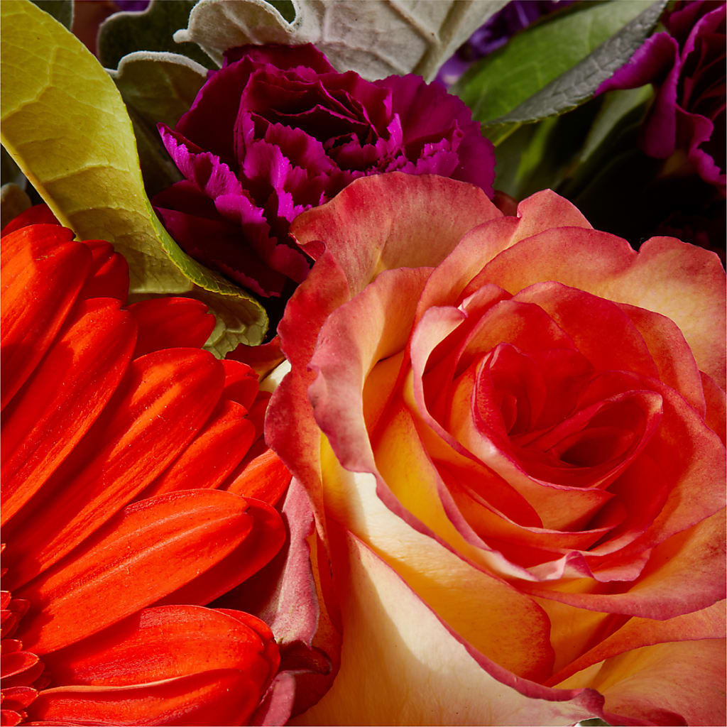 Sangria Bouquet –  Acme, Malvern PA