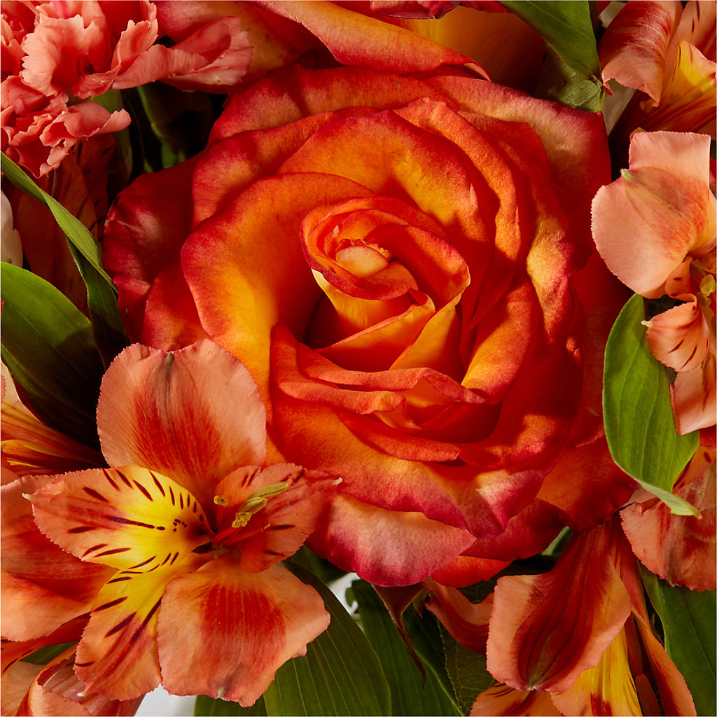 Apricot Glow Bouquet –  Acme, Malvern PA