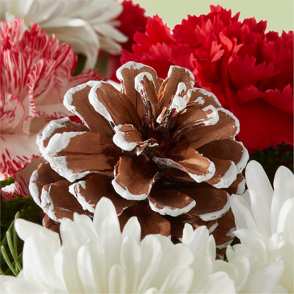 Candy Cane Lane Bouquet –  Acme, Malvern PA