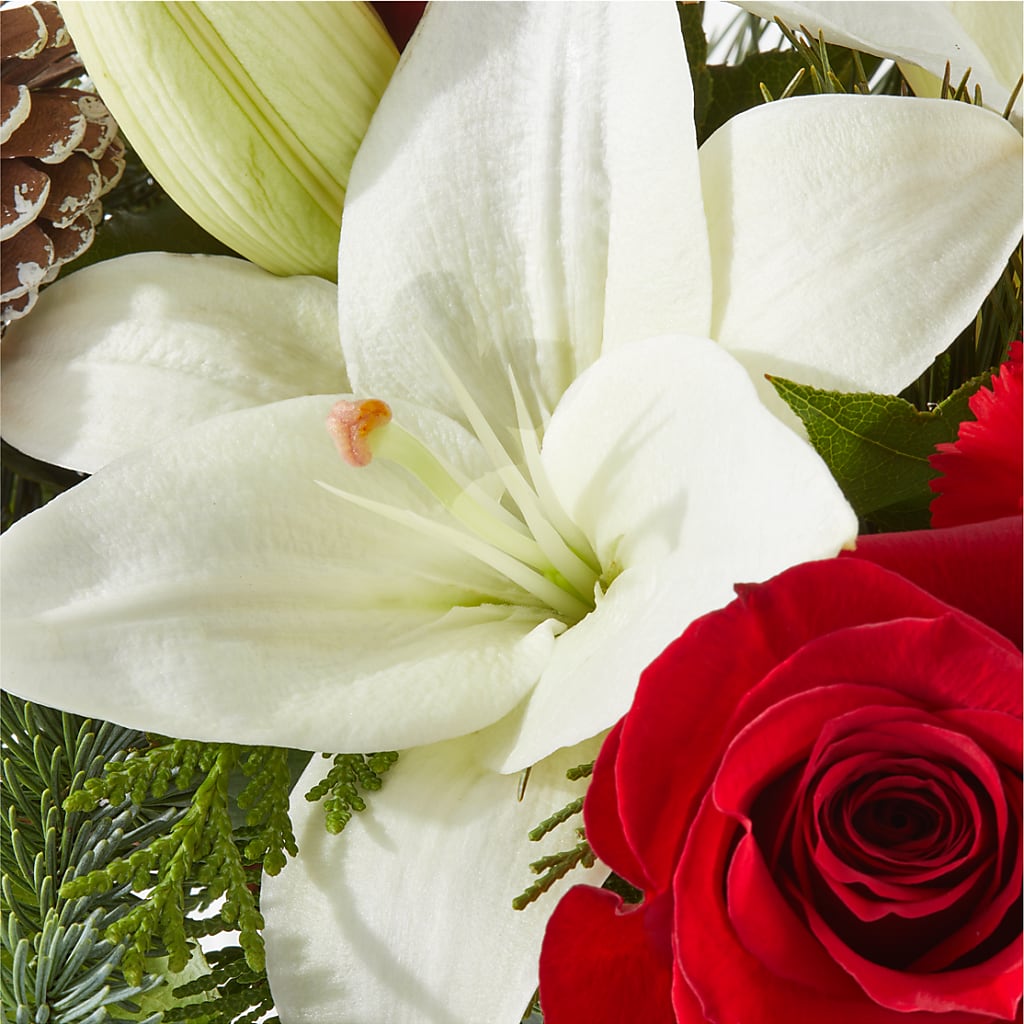 Oh So Jolly Bouquet –  Acme, Malvern PA