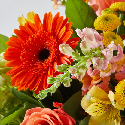 Autumn Sunshine Bouquet –  Acme, Malvern PA
