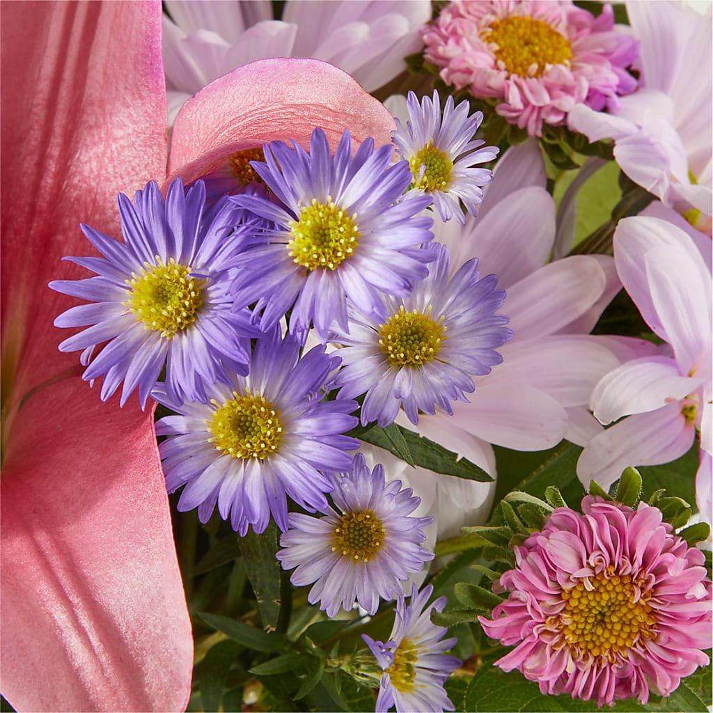 Pirouette Bouquet –  Acme, Malvern PA
