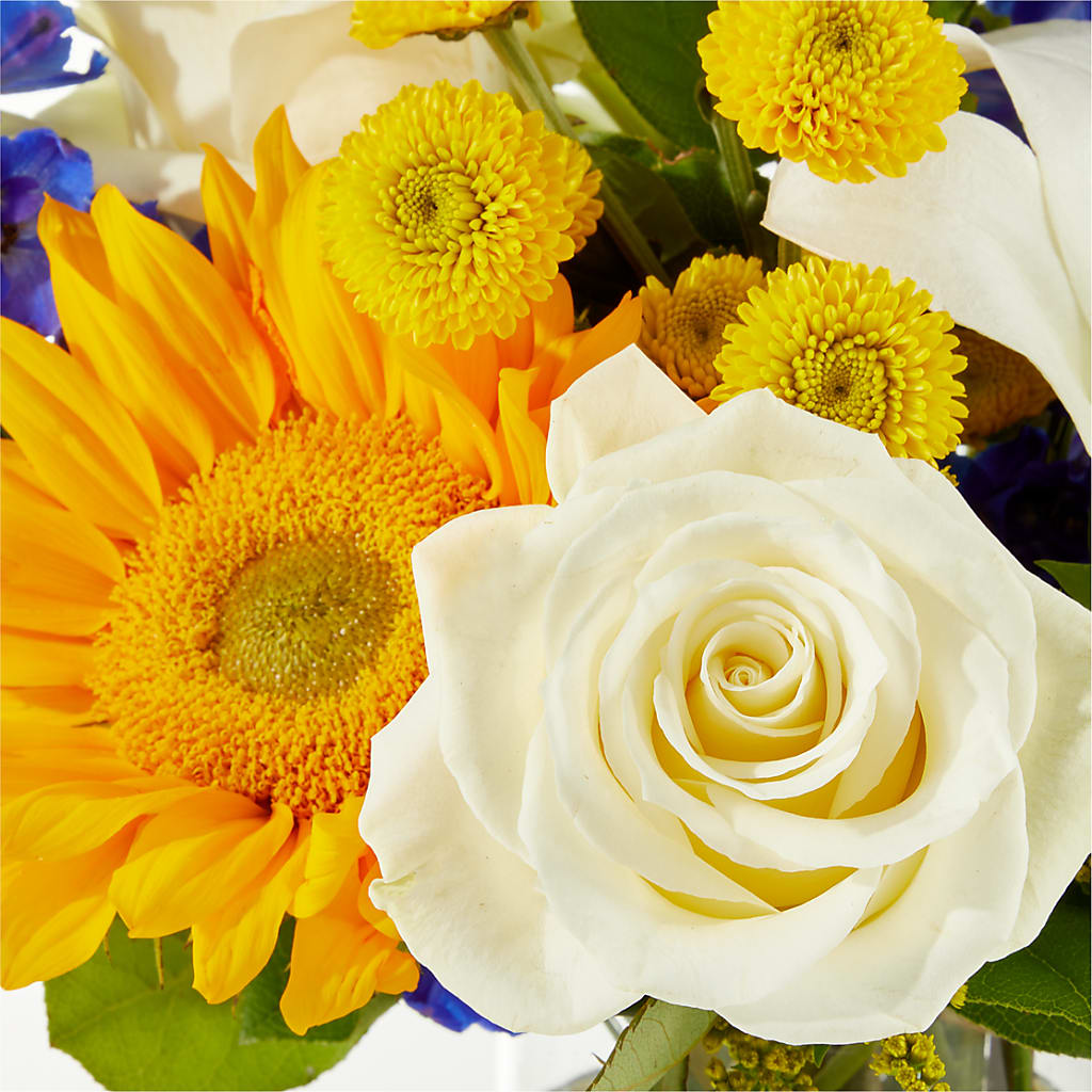 Stargazing Bouquet –  Acme, Malvern PA