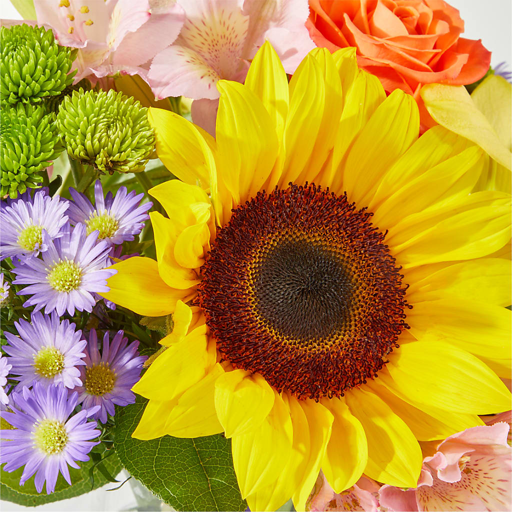 Basking in the Glow Bouquet –  Acme, Malvern PA