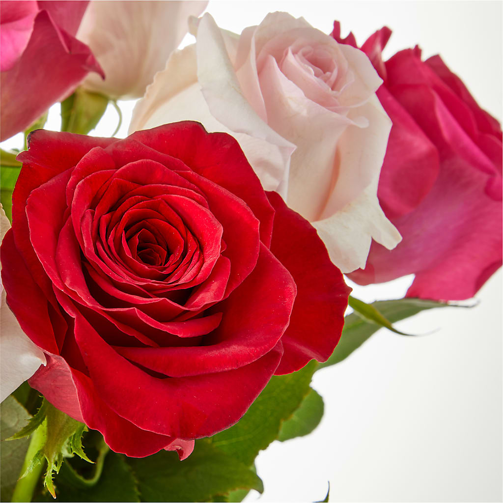 Charming Rose Bouquet –  Acme, Malvern PA