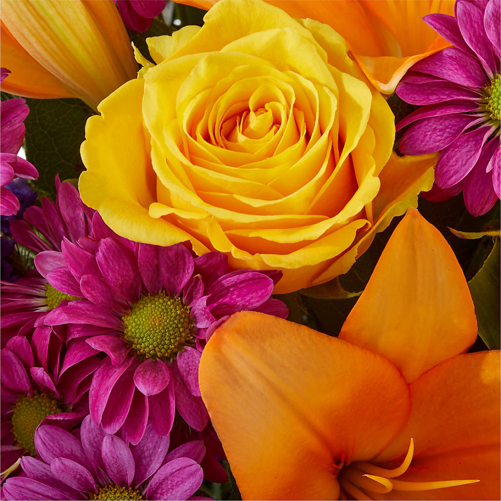 Colorful Visions Bouquet –  Acme, Malvern PA