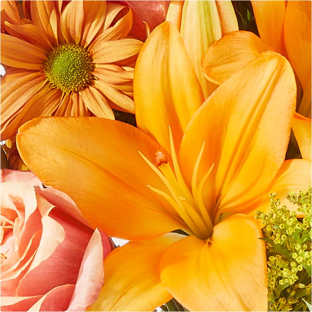 Harvest Hayride Bouquet –  Acme, Malvern PA