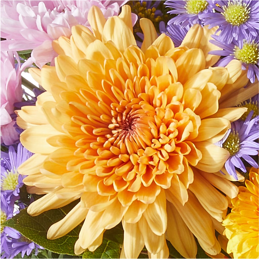 Countryside Bouquet –  Acme, Malvern PA
