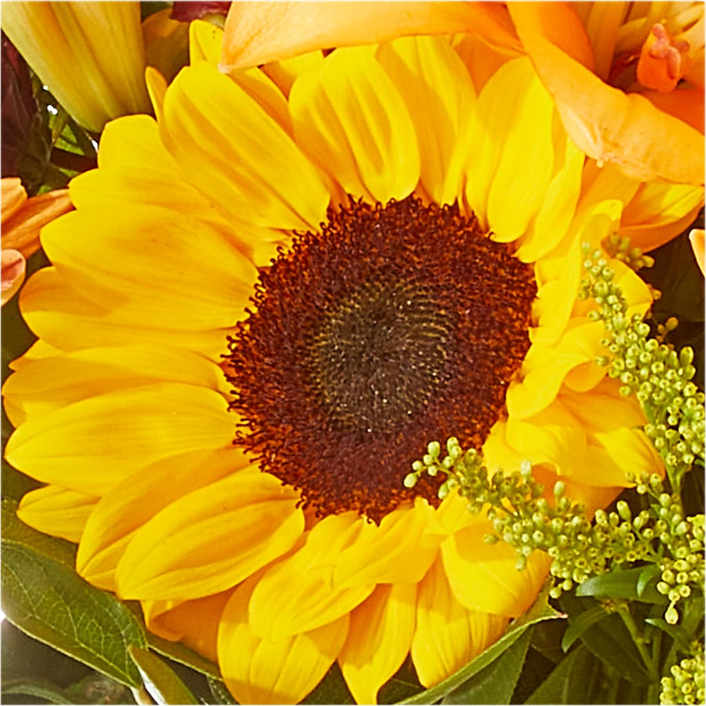 Seasons Change Bouquet –  Acme, Malvern PA