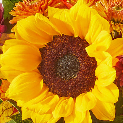 Sunny Side Bouquet –  Acme, Malvern PA