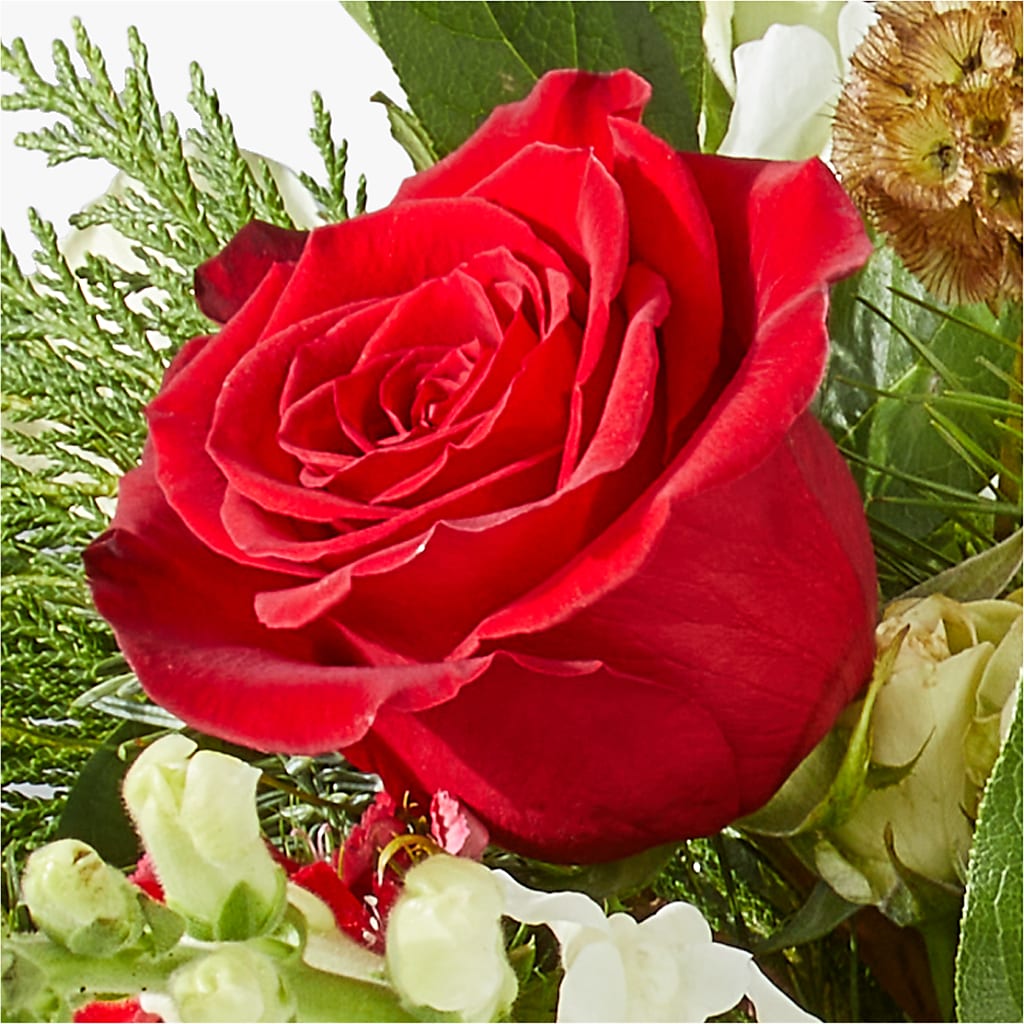 Deck the Halls Bouquet –  Acme, Malvern PA