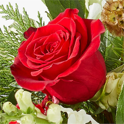 Deck the Halls Bouquet –  Acme, Malvern PA