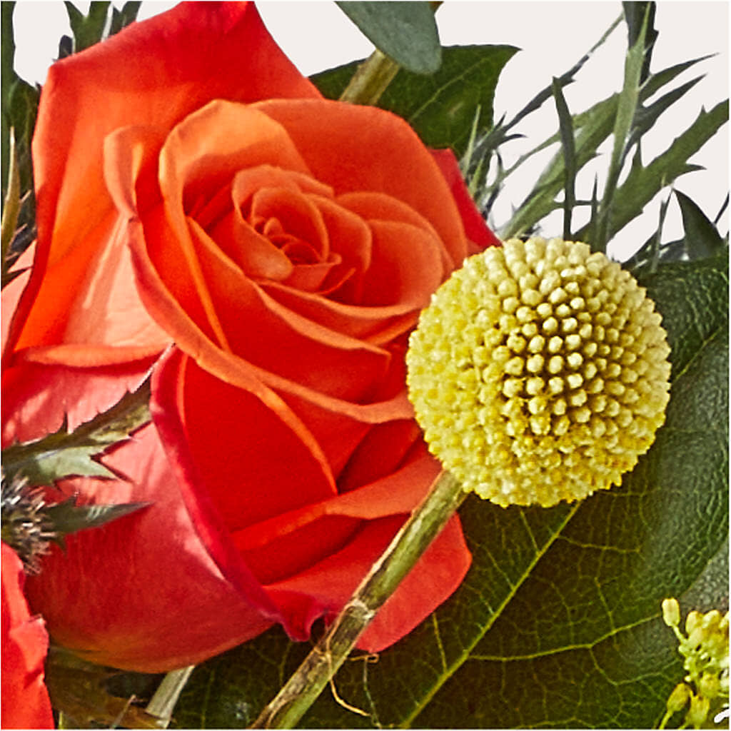 Disco Bouquet –  Acme, Malvern PA