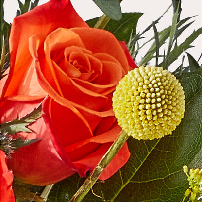 Disco Bouquet –  Acme, Malvern PA