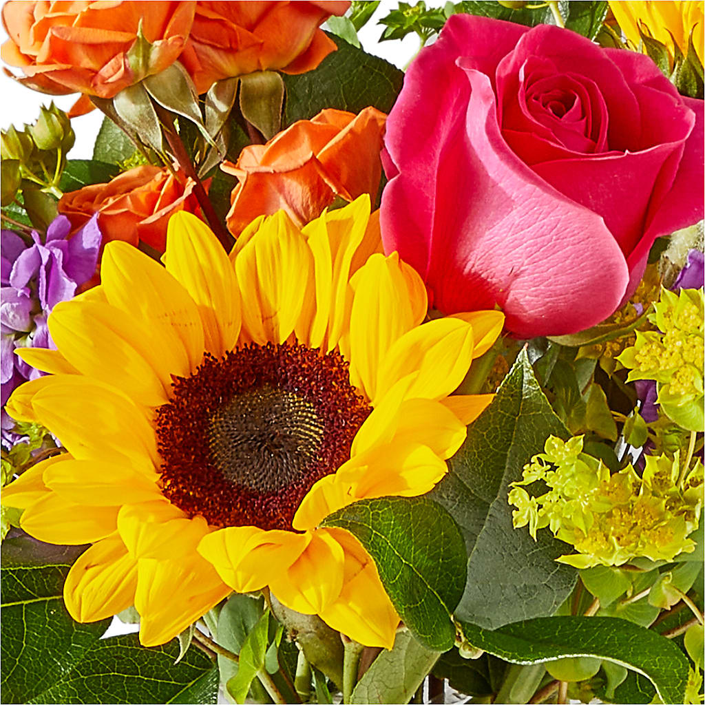 Vibrant Greetings Bouquet –  Acme, Malvern PA