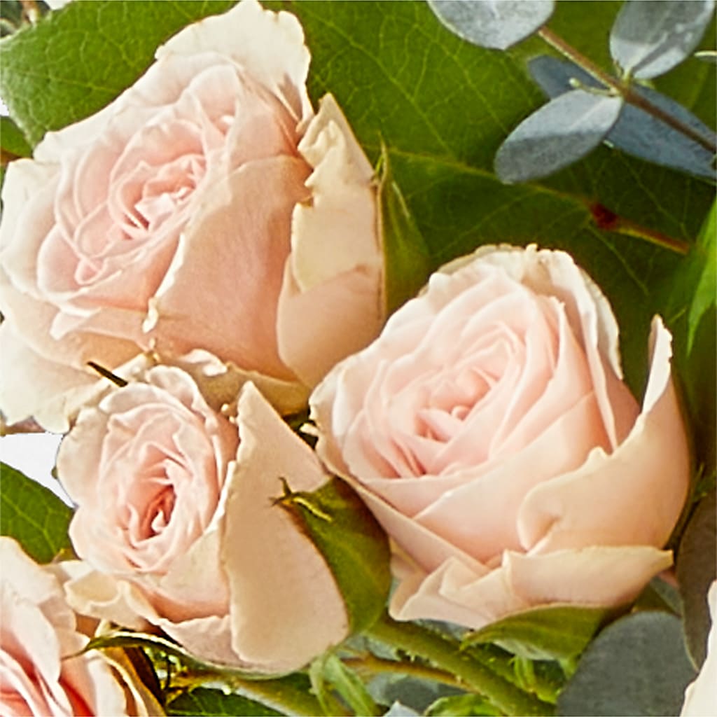 Inspired Bouquet –  Acme, Malvern PA