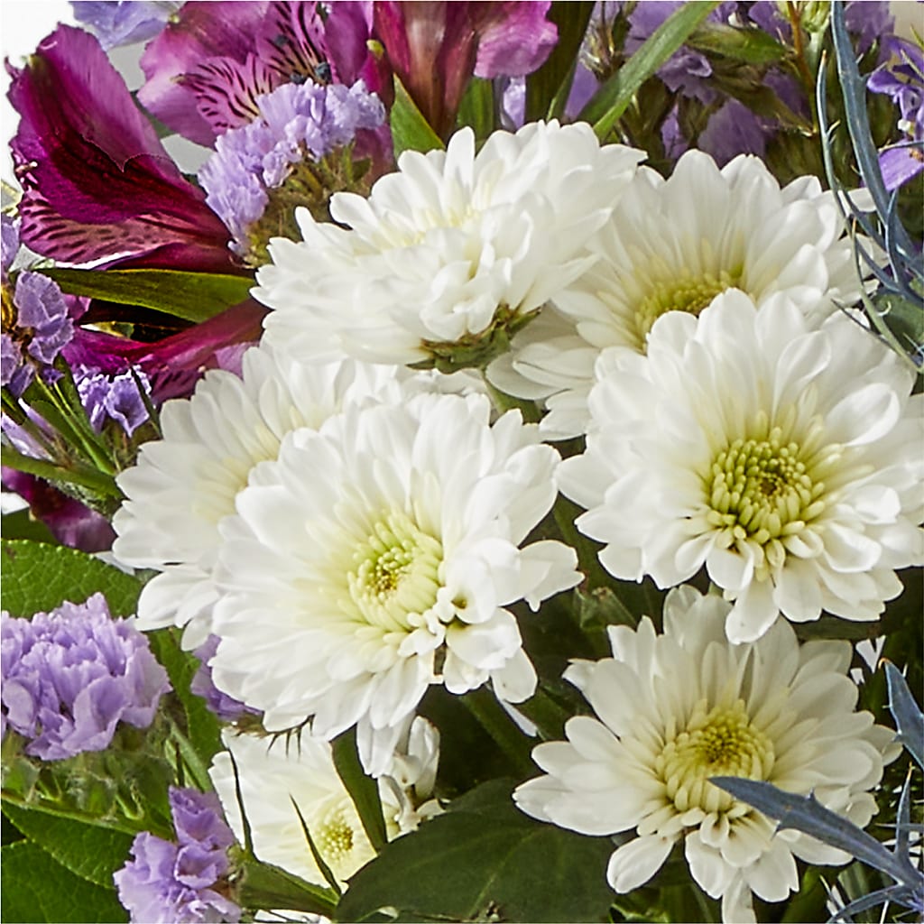 Shooting Star Bouquet –  Acme, Malvern PA