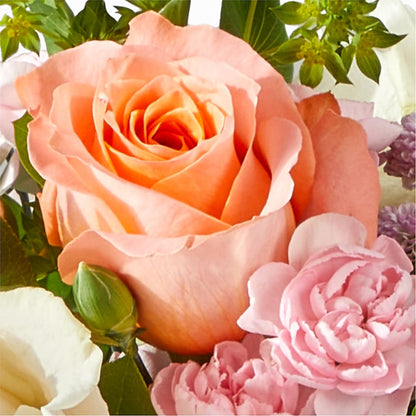 French Market Bouquet –  Acme, Malvern PA