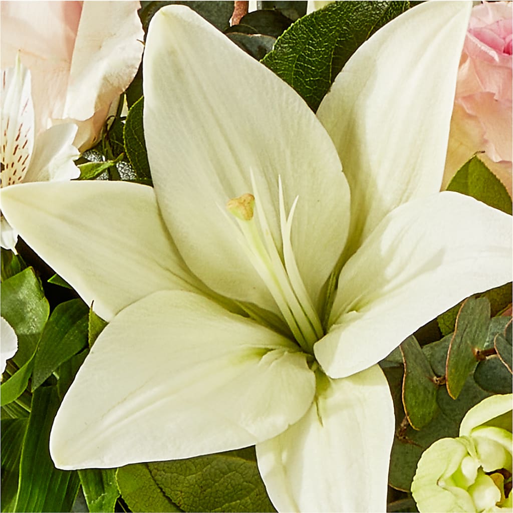Ballet Slippers Bouquet –  Acme, Malvern PA