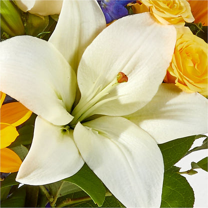 Wonderfully Sunny Bouquet –  Acme, Malvern PA
