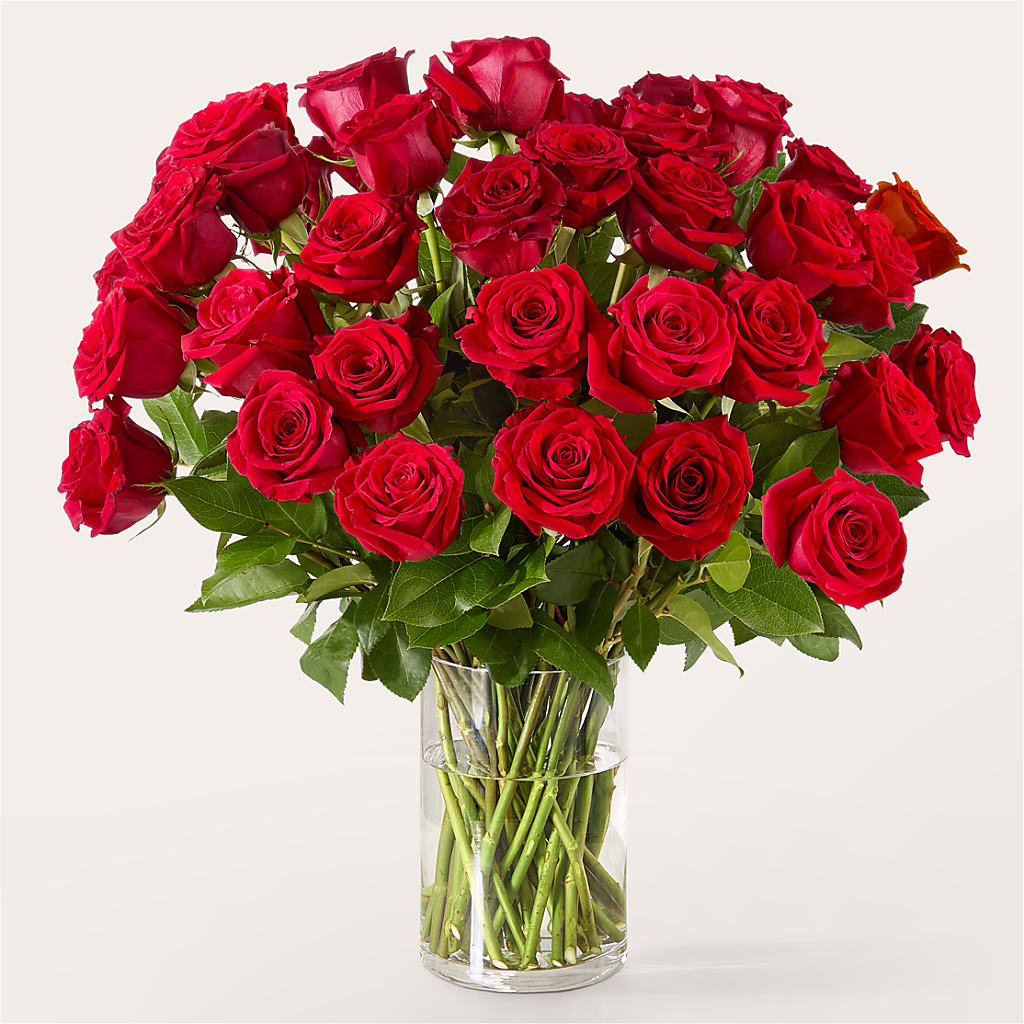 The One Red Rose Bouquet –  Acme, Malvern PA