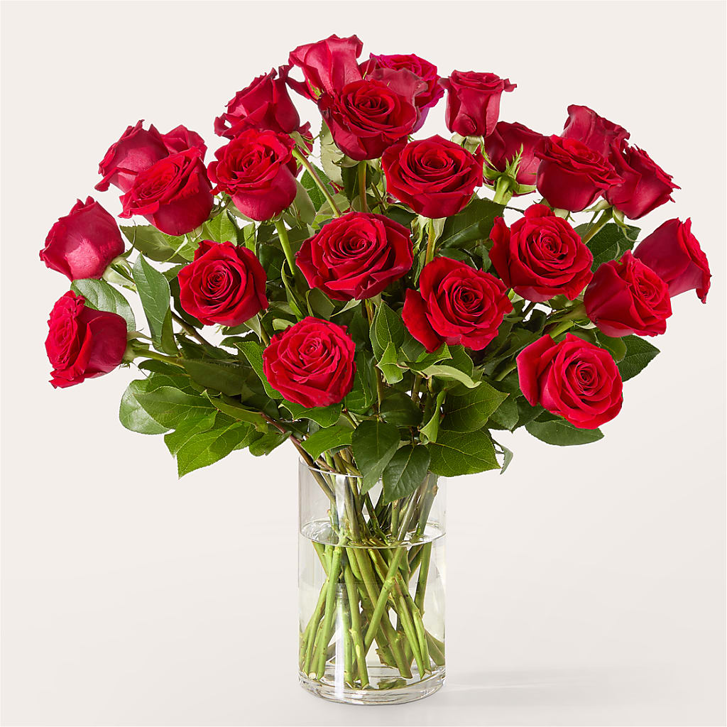 The One Red Rose Bouquet –  Acme, Malvern PA