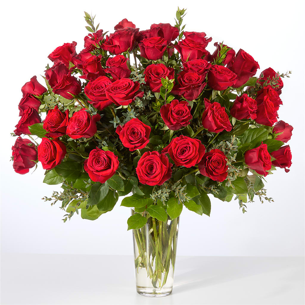 Forever Yours Fifty Stem Red Rose Bouquet –  Acme, Malvern PA